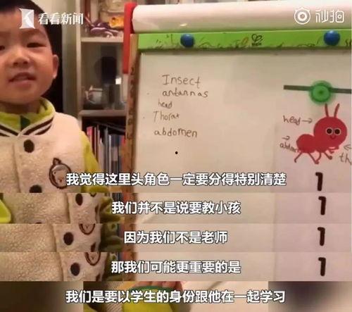 小男孩儿爆料视频大全  第3张