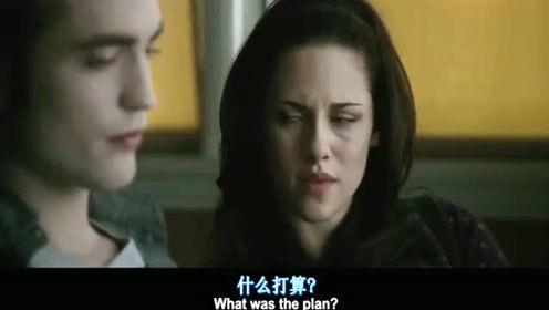 丹妮爆料电影大全视频,揭秘电影幕后故事，带你走进光影世界