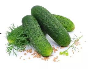 侯府吃瓜日常免费,揭秘侯府吃瓜日常,笑料百出 第2张 侯府吃瓜日常免费,揭秘侯府吃瓜日常,笑料百出 第2张