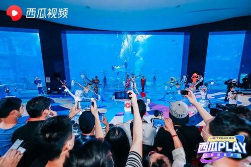 三亚最新网红爆料视频,揭秘隐藏版网红打卡地! 第2张 三亚最新网红爆料视频,揭秘隐藏版网红打卡地! 第2张