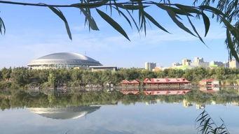 园林绿化爆料视频最新,惊艳美景与环保理念完美融合”