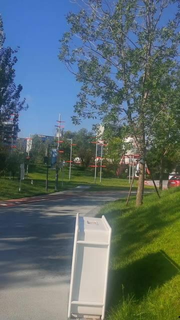 园林绿化爆料视频最新,惊艳美景与环保理念完美融合” 第3张 园林绿化爆料视频最新,惊艳美景与环保理念完美融合” 第3张