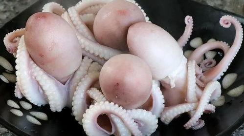 爆料八爪鱼做法窍门视频,八爪鱼做法窍门视频大公开