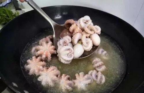 爆料八爪鱼做法窍门视频,八爪鱼做法窍门视频大公开 第3张 爆料八爪鱼做法窍门视频,八爪鱼做法窍门视频大公开 第3张