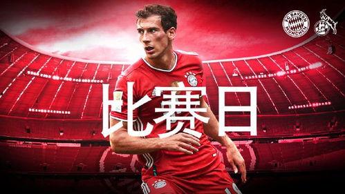 今日爆料者联盟解析最新  第2张