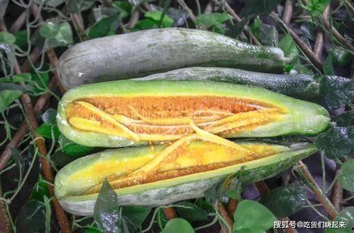 网红杨咩咩吃瓜,揭秘网红圈幕后故事