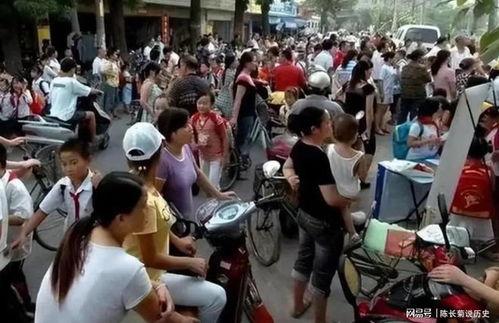 开封小学生最新爆料信息,校园生活新鲜事大揭秘