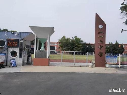 开封小学生最新爆料信息,校园生活新鲜事大揭秘  第2张