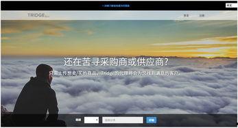 国外在线观看免费  第3张