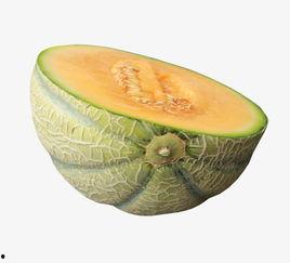 免费吃哈密瓜视频  第2张