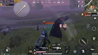 和平精英最新爆料大全,揭秘游戏新内容与玩法革新  第2张