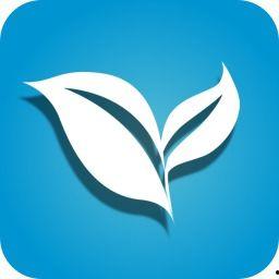 树叶最新爆料视频下载,幕后真相大起底