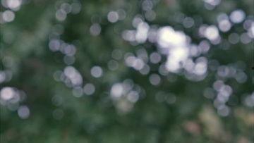 树叶最新爆料视频下载,幕后真相大起底  第3张