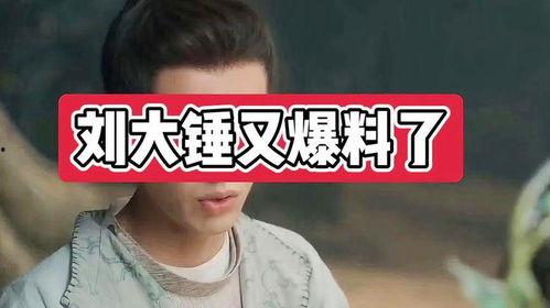 刘大锤爆料女神视频播放,播放量惊人揭秘幕后真相