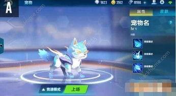 飞车宠物最新爆料,神秘宠物即将亮相,激战一触即发! 第3张 飞车宠物最新爆料,神秘宠物即将亮相,激战一触即发! 第3张