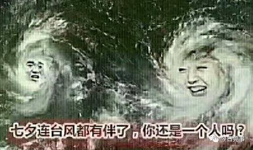 台风十三子爆料视频播放,揭秘风暴背后的惊人真相