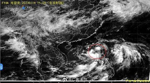 台风十三子爆料视频播放,揭秘风暴背后的惊人真相  第2张